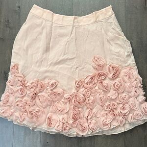NWT Talbots Blush A-Line Skirt with Rosette Accents